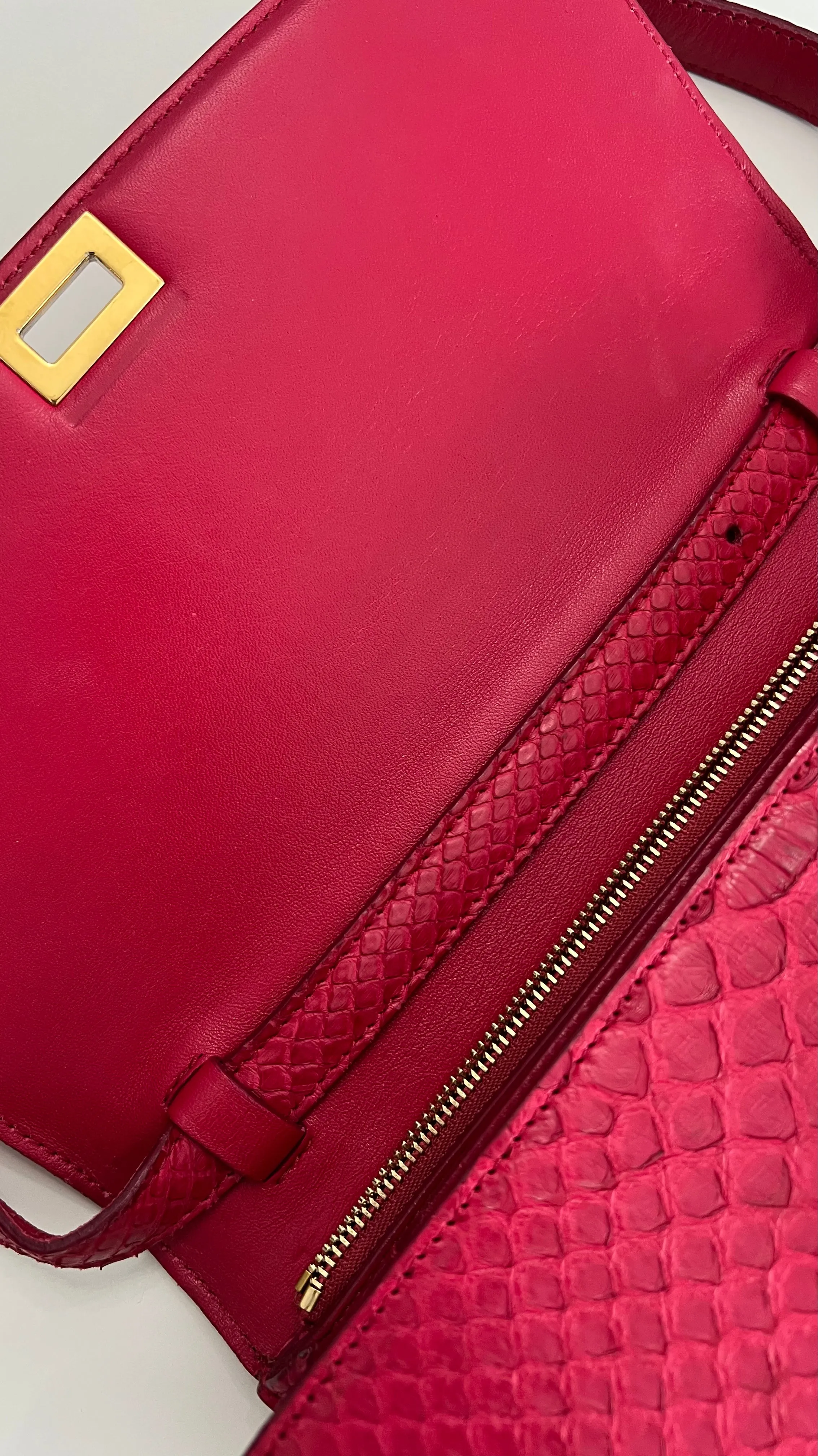Celine Box Bag Classique Rasberry Red Exotic Leather, Gold Hardware