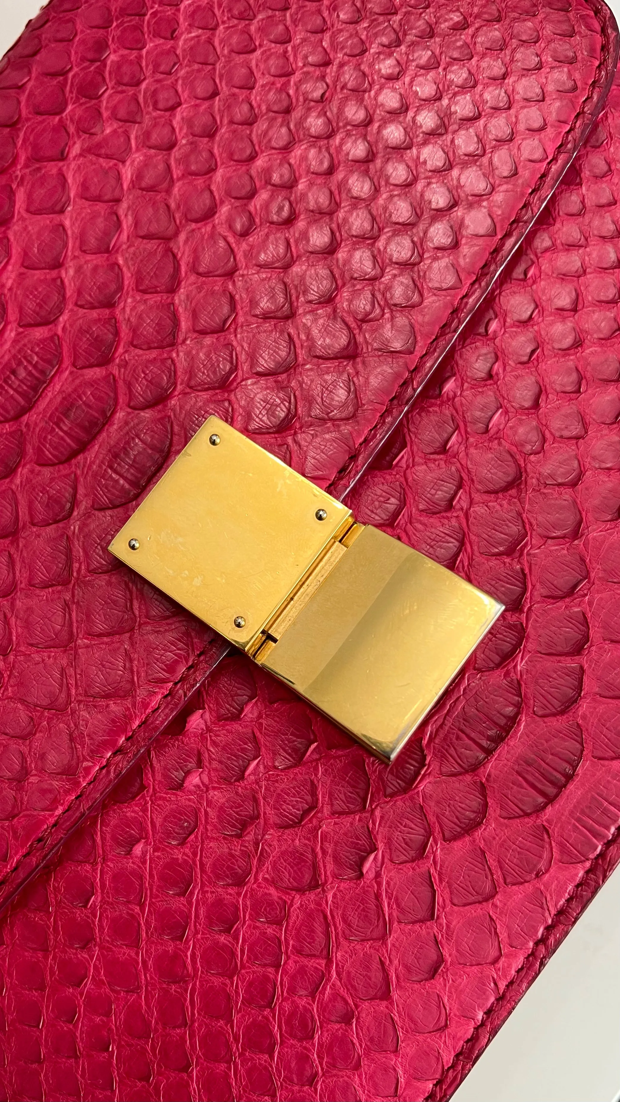 Celine Box Bag Classique Rasberry Red Exotic Leather, Gold Hardware